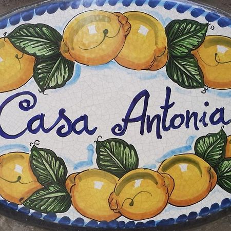 Casa Antonia Anacapri (Isola di Capri) Exterior foto