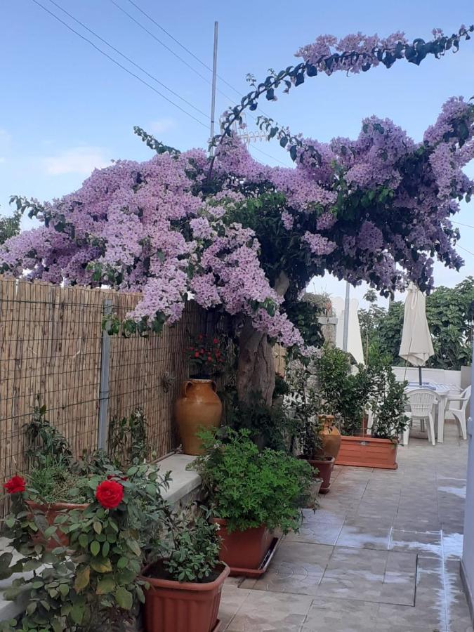 Casa Antonia Anacapri (Isola di Capri) Exterior foto